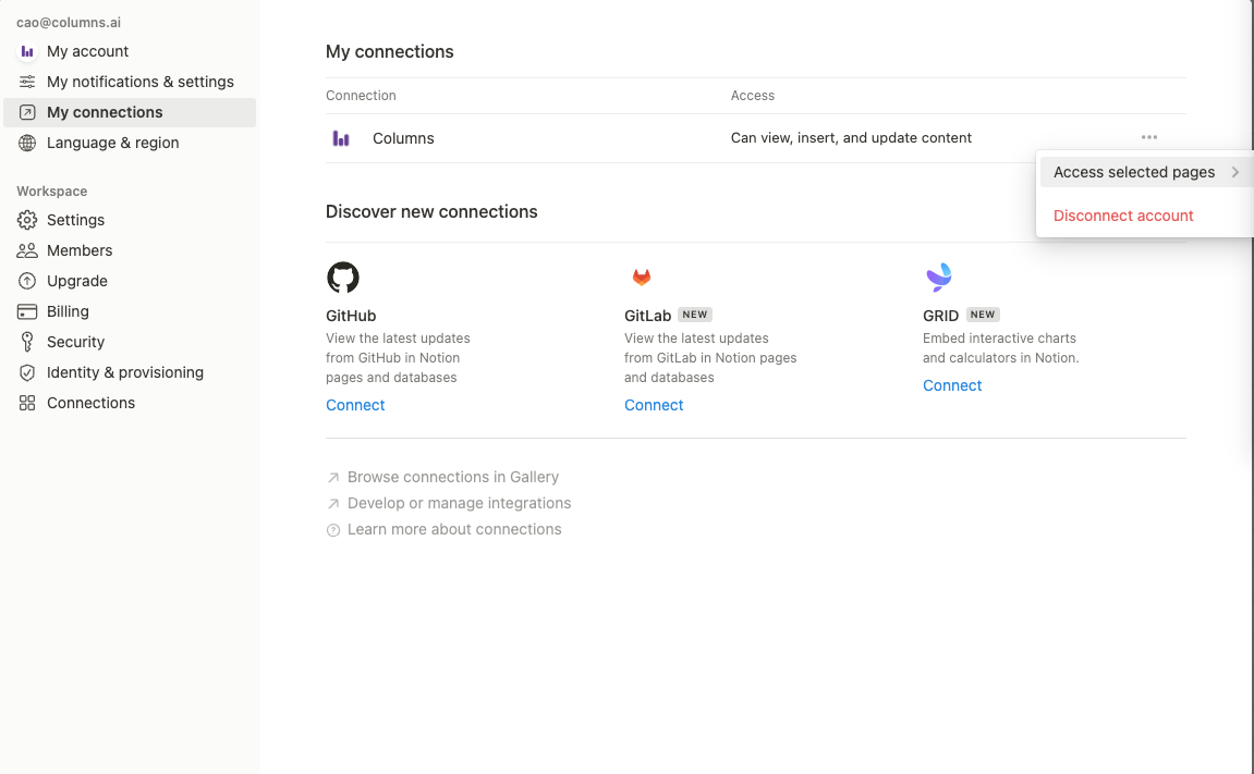 Notion Access Settings